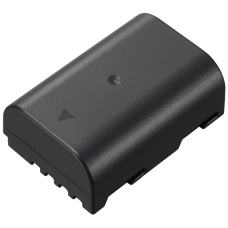 Аккумулятор Panasonic DMW-BLF19