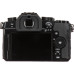 Фотоаппарат Panasonic Lumix DC-G 95 KIT 12-60mm Black