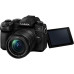 Фотоаппарат Panasonic Lumix DC-G 95 KIT 12-60mm Black
