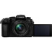 Фотоаппарат Panasonic Lumix DC-G 95 KIT 12-60mm Black