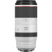 Объектив Canon RF 100-500mm f/4.5-7.1L IS USM