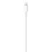 Кабель Apple USB Type-C - Lightning 2м A2441 Белый