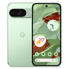 Смартфон Google Pixel 9 12/256Gb Green US