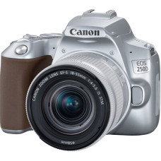 Фотоаппарат Canon EOS 250D Kit 18-55 IS STM Silver