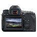 Фотоаппарат Canon EOS 6D Mark II Kit EF 24-70/4L IS USM